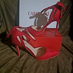 Red Suede Pointed-Toe Ankle-Tie Heels